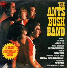 Thumbnail - ANTS BUSH BAND